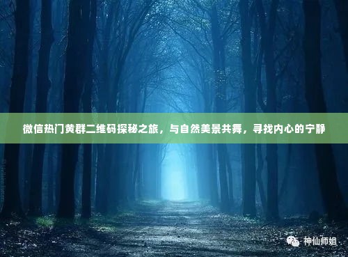 微信热门黄群二维码探秘之旅,自然美景与心灵宁静的寻觅之旅