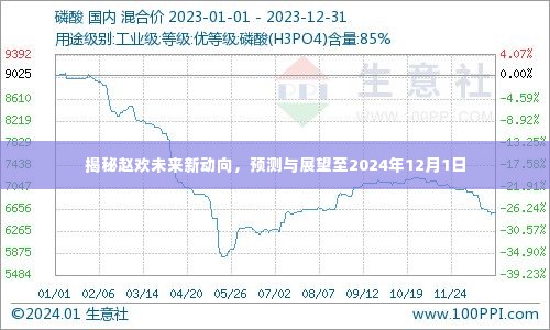 赵欢未来新动向揭秘,至2024年12月1日的预测与展望