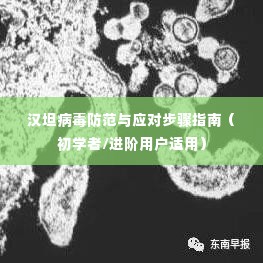 汉坦病毒防范与应对全攻略,从初学者到进阶用户的实用指南