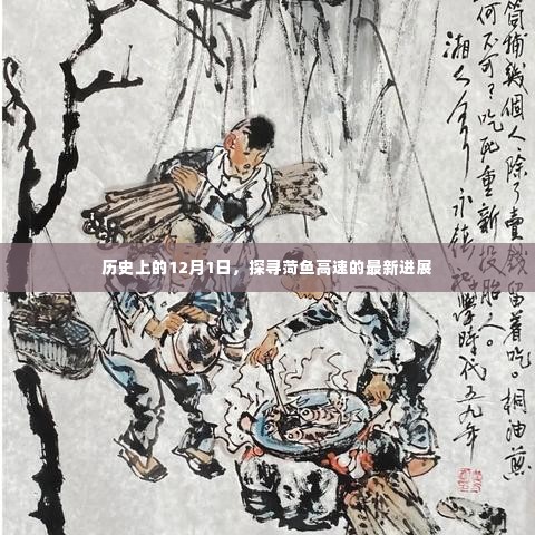 历史上的12月1日,菏鱼高速最新进展揭秘