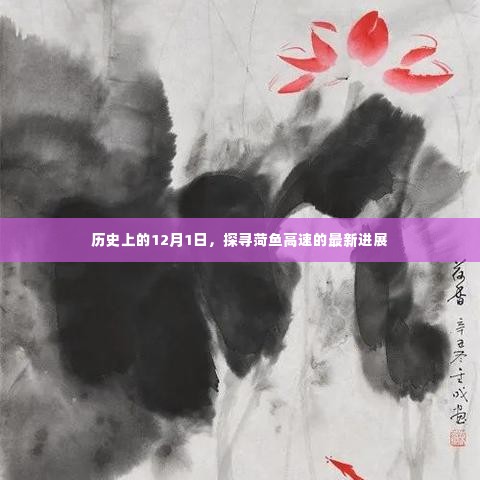 历史上的12月1日,菏鱼高速最新进展揭秘