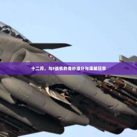 十二月,与F战机的奇妙缘分与日常温馨时光
