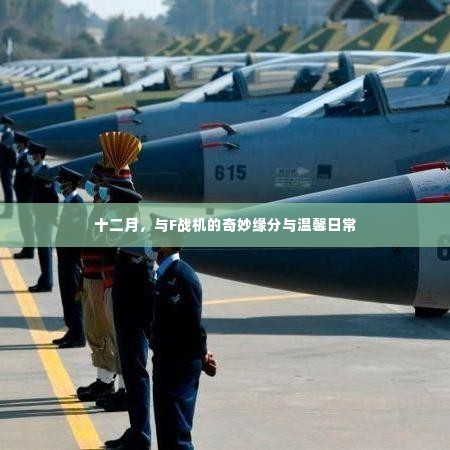 十二月,与F战机的奇妙缘分与日常温馨时光