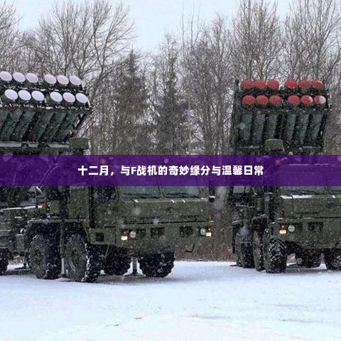 十二月,与F战机的奇妙缘分与日常温馨时光
