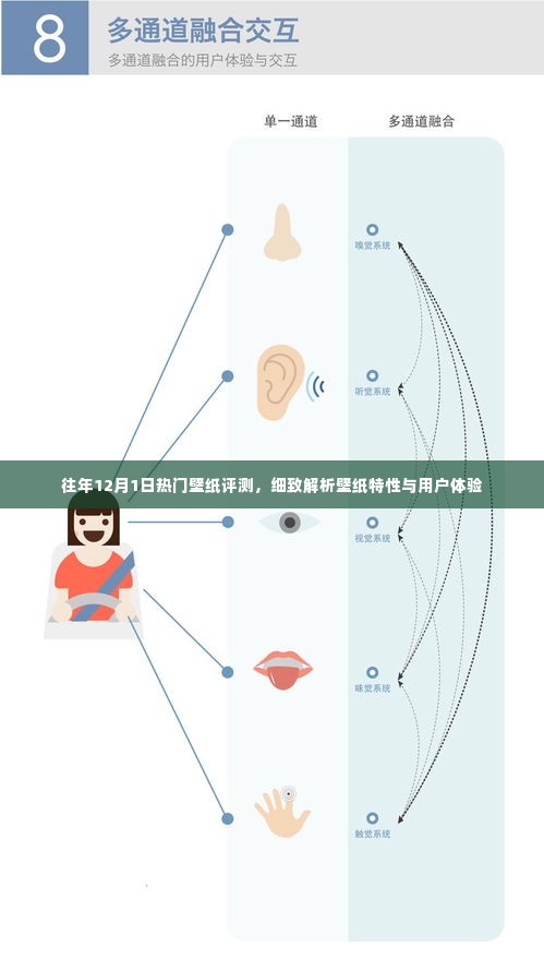 往年12月热门壁纸评测,特性解析与用户体验探讨
