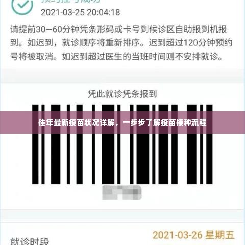 往年疫苗最新状况详解,疫苗接种流程全面解析