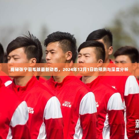 张宁羽毛球最新动态揭秘,2024年12月1日预测与深度分析