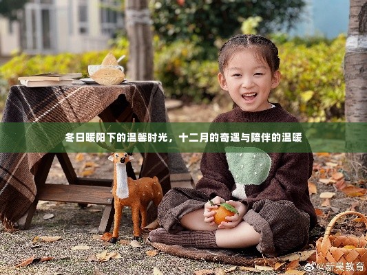 冬日暖阳下的温馨时光,十二月的奇遇与陪伴的暖意
