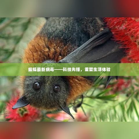 蝙蝠最新病毒技术重塑生活体验,科技先锋引领未来