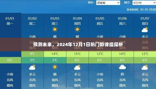 2024年热门韵律操探析,预测未来流行趋势