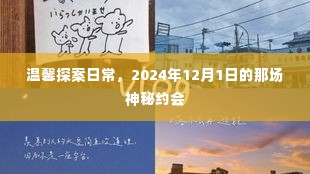 温馨探案日常，神秘约会的秘密（2024年12月1日）