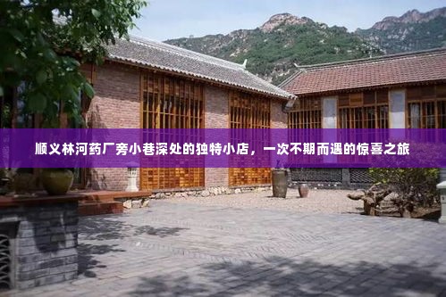 顺义林河药厂旁小巷深处的惊喜小店,不期而遇的美食之旅