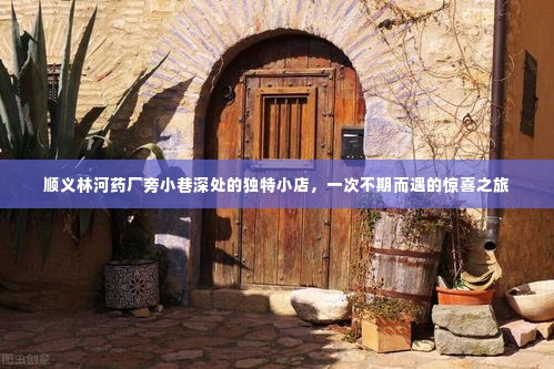 顺义林河药厂旁小巷深处的惊喜小店,不期而遇的美食之旅