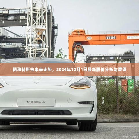 特斯拉未来走势揭秘,最新股价分析与展望(2024年12月1日)