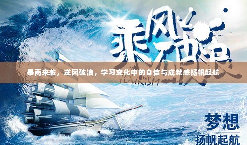 暴雨中的自信与成就感,逆风破浪,扬帆起航学习之旅