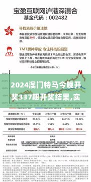 2024澳门特马今晚开奖337期开奖结果,实地调研解释定义_WP4.229-2