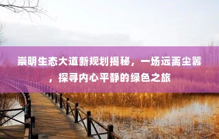 崇明生态大道新规划探寻绿色之旅,远离尘嚣的心灵平静之旅