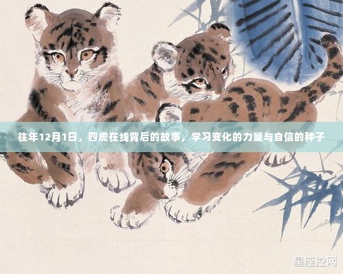 四虎在线背后的故事,学习变化的力量与自信的种子成长之路