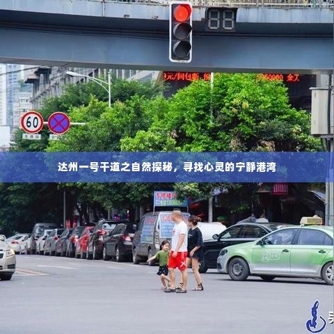 达州一号干道自然探秘之旅,心灵的宁静港湾寻迹