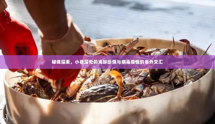 秘境探索,小巷深处的海鲜珍馔与疫情意外交汇之旅