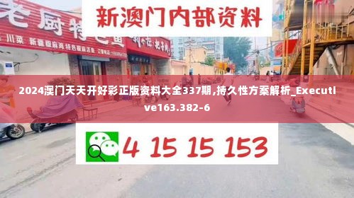 2024澳门天天开好彩正版资料大全337期,持久性方案解析_Executive163.382-6