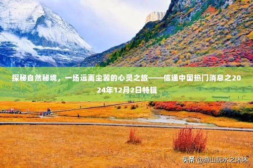 探秘自然秘境，心灵之旅启程——信通中国热门消息特辑（XXXX年XX月XX日）