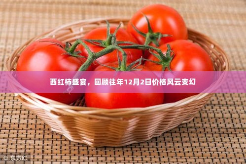 西红柿盛宴,历年12月2日价格风云回顾