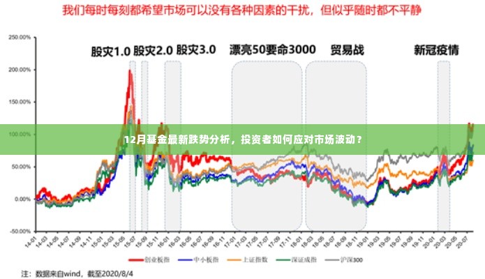 12月基金跌势分析,市场波动下投资者的应对策略