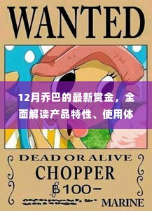 12月乔巴最新赏金详解,产品特性、用户体验与目标用户分析全解析