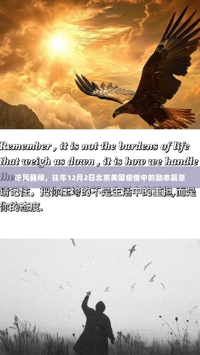 逆风翱翔,北京疫情中的励志篇章,美国抗疫故事回顾(往年12月2日)