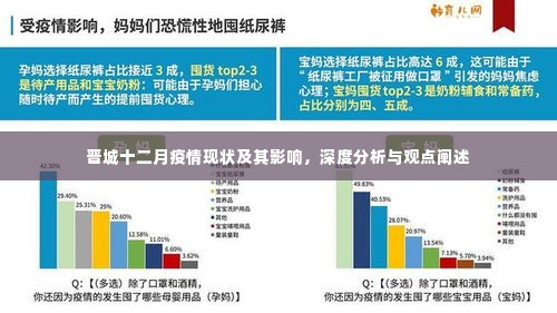 晋城十二月疫情现状与深度分析,影响及观点阐述