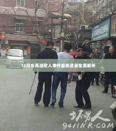 东西湖砍人事件最新进展全面解析,揭秘事件真相与后续动态