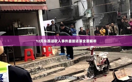 东西湖砍人事件最新进展全面解析,揭秘事件真相与后续动态