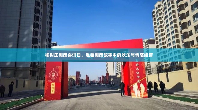 榆树庄棚改喜讯背后的温馨故事与情感纽带