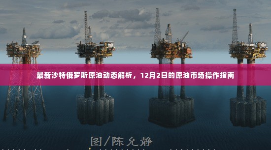 最新沙特俄罗斯原油动态解析及操作指南,12月2日原油市场洞察