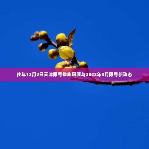 天津限号措施回顾与最新动态,历年政策对比及2023年3月限号调整通知