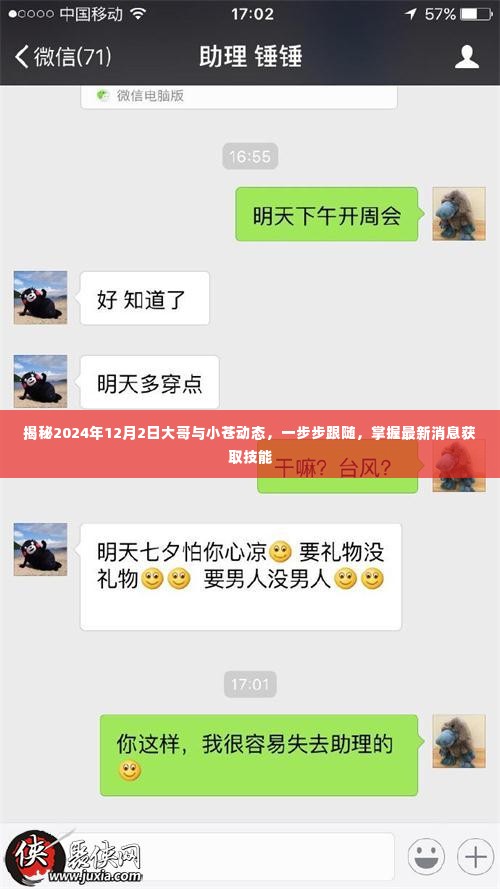 揭秘大哥与小苍的最新动态,掌握最新消息获取技能,关注2024年12月2日发展动向