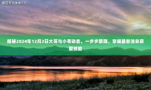 揭秘大哥与小苍的最新动态,掌握最新消息获取技能,关注2024年12月2日发展动向