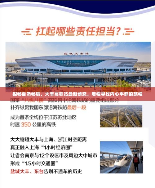 大丰高铁站最新动态,启程探秘自然秘境,寻找内心平静的旅程
