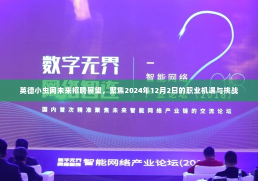 英德小虫网未来招聘展望,聚焦职业机遇与挑战,展望2024年12月2日新动态