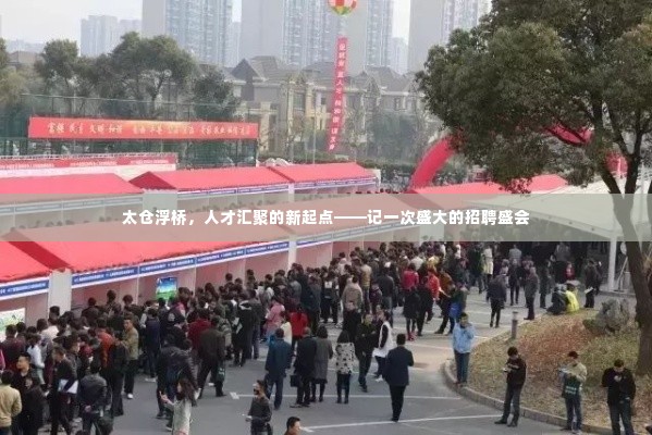 太仓浮桥,人才汇聚盛会启航新征程