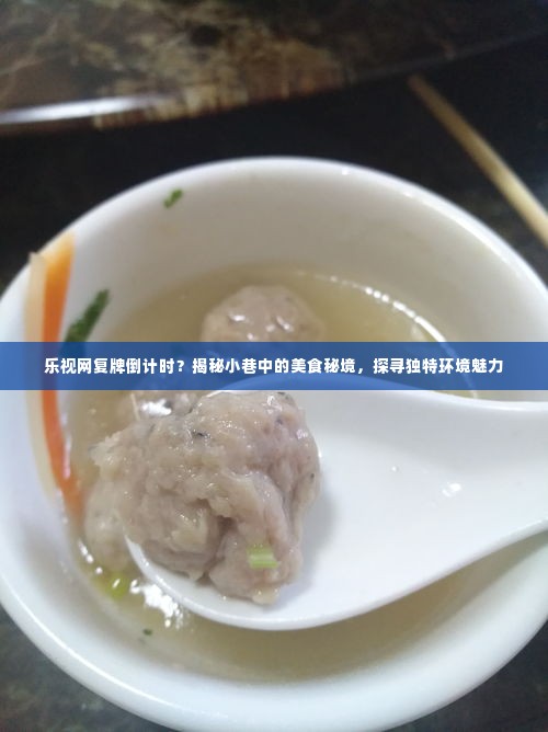 乐视网复牌倒计时与小巷美食秘境探寻,揭秘独特环境魅力