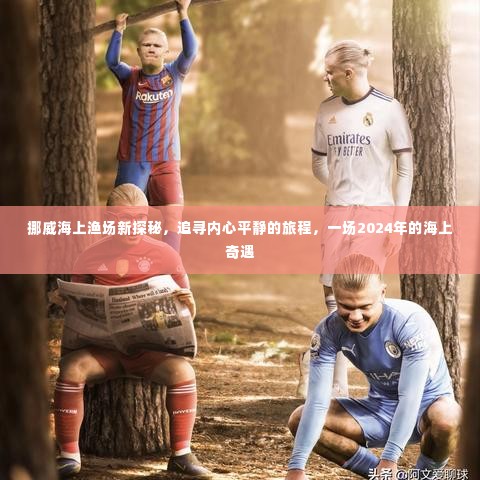 挪威海上渔场奇遇,追寻内心平静的旅程,探寻海洋秘境的冒险之旅(2024年)