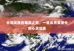 台风间隙的莆田之旅,自然美景中的心灵探索之旅