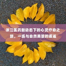 浙江医药新动态下的心灵疗愈之旅,自然美景与心灵邂逅
