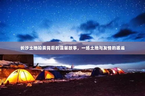 长沙土地拍卖背后的友情邂逅,土地与友情的交织故事