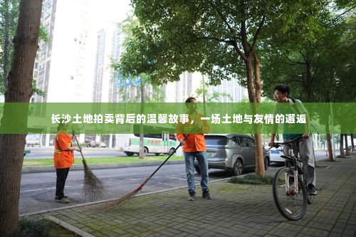 长沙土地拍卖背后的友情邂逅,土地与友情的交织故事