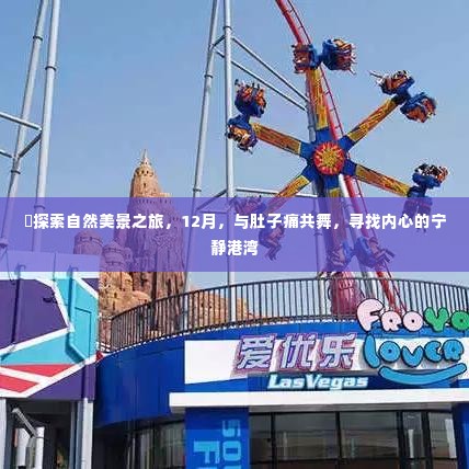 探索自然美景之旅,与肚子痛共舞,寻找内心的宁静港湾(十二月篇)