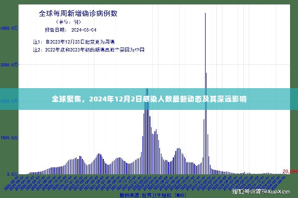 全球聚焦,2024年感染人数最新动态及其深远影响分析(附日期)