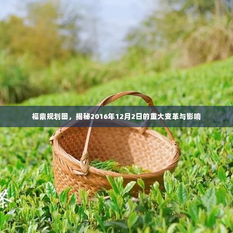 福鼎规划图揭秘,重大变革与深远影响,2016年12月2日深度解读